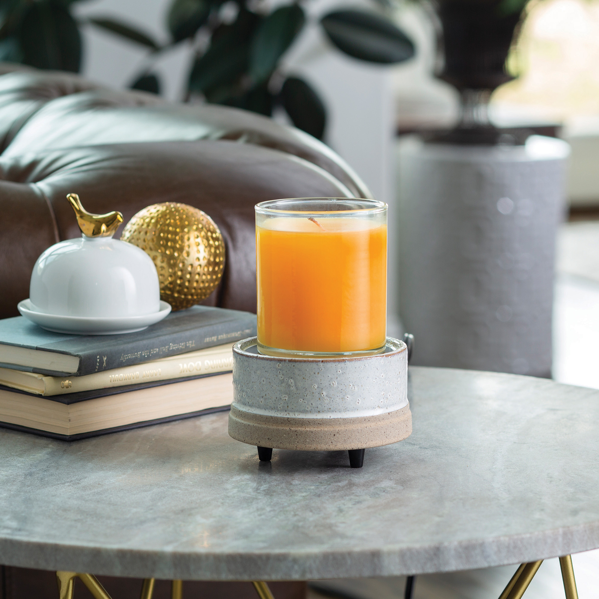 Rustic White 2-in-1 Warmer